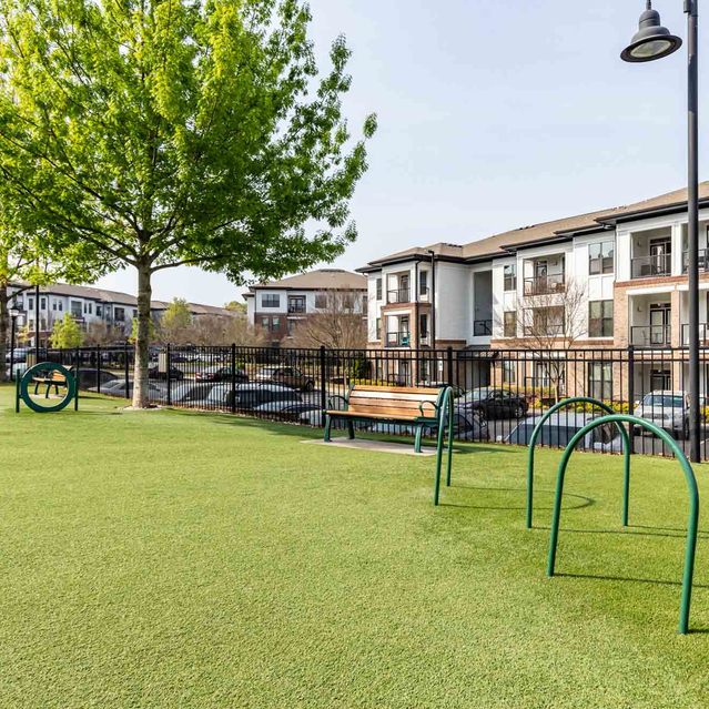 Junction 1504 - Pet Park